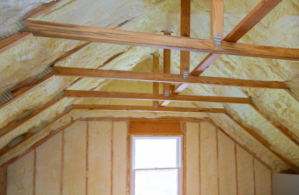 Best Attic Insulation Installation  in Landover Hills, MD