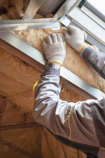 Best Soundproof Insulation Installation  in Landover Hills, MD