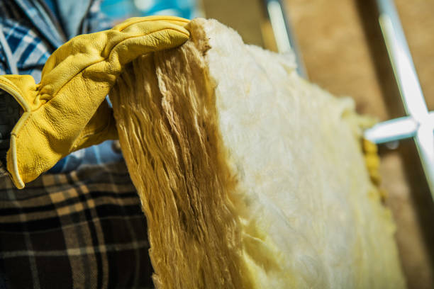 Best Spray Foam Insulation  in Landover Hills, MD