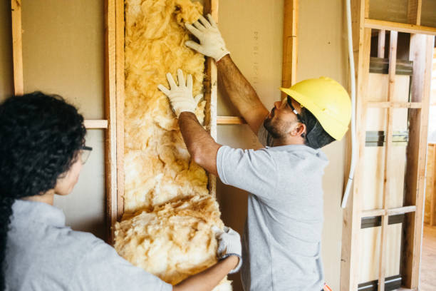 Best Insulation Contractor Near Me  in Landover Hills, MD