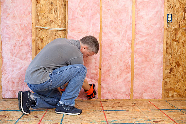 Best Wall Insulation Contractor  in Landover Hills, MD