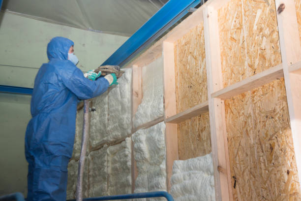 Professional Insulation Contractor in Landover Hills, MD